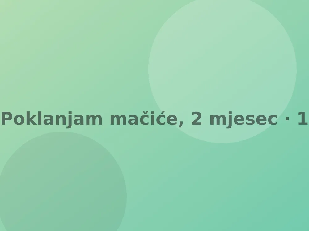 Poklanjam mačiće, 2 mjeseca