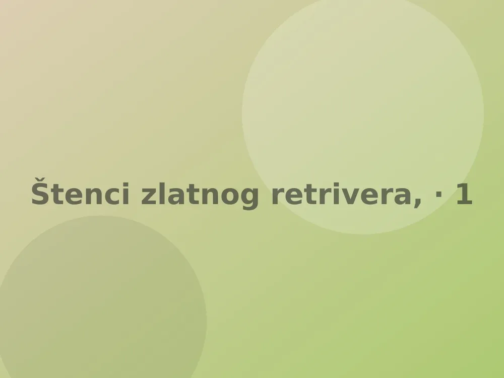 Štenci zlatnog retrivera, vakcinisani
